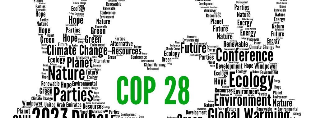 Cop 28 Retour à La Réalité Investir Ch